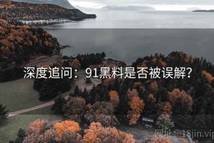 深度追问：91黑料是否被误解？