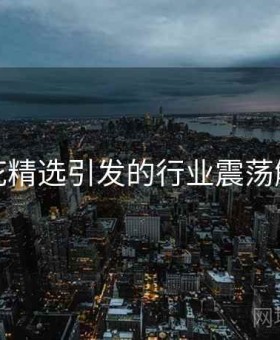 探花精选引发的行业震荡解析