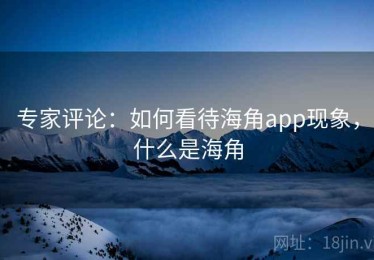 专家评论：如何看待海角app现象，什么是海角