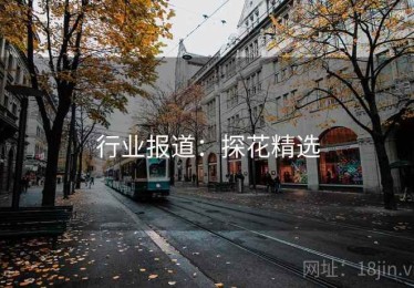 行业报道：探花精选