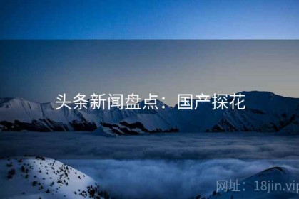 头条新闻盘点：国产探花