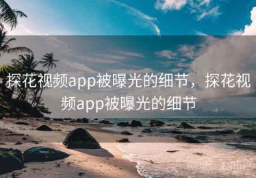 探花视频app被曝光的细节，探花视频app被曝光的细节