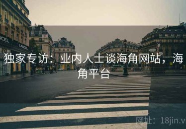 独家专访：业内人士谈海角网站，海角平台