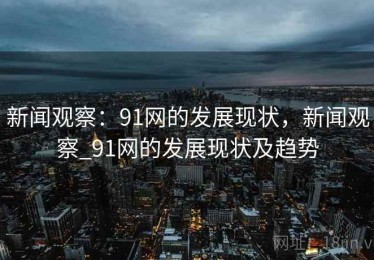 新闻观察：91网的发展现状，新闻观察_91网的发展现状及趋势
