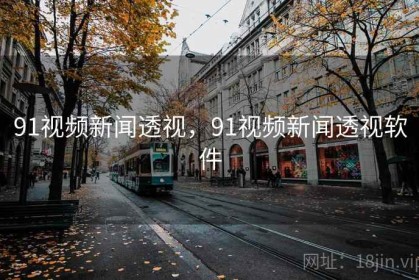 91视频新闻透视，91视频新闻透视软件