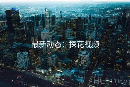 最新动态：探花视频
