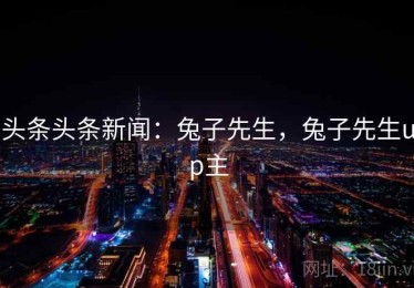 头条头条新闻：兔子先生，兔子先生up主