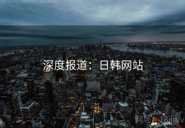 深度报道：日韩网站