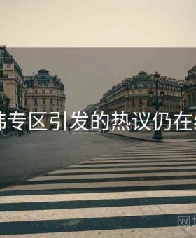 日韩专区引发的热议仍在继续