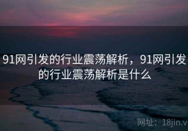 91网引发的行业震荡解析，91网引发的行业震荡解析是什么
