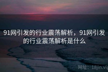 91网引发的行业震荡解析，91网引发的行业震荡解析是什么
