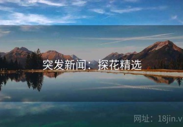 突发新闻：探花精选