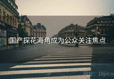 国产探花海角成为公众关注焦点