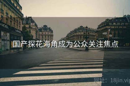 国产探花海角成为公众关注焦点