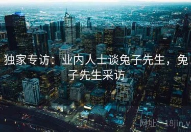 独家专访：业内人士谈兔子先生，兔子先生采访