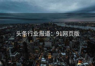 头条行业报道：91网页版