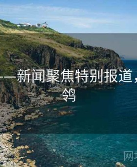 海角网——新闻聚焦特别报道，海角鹡鸰