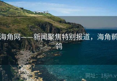 海角网——新闻聚焦特别报道，海角鹡鸰