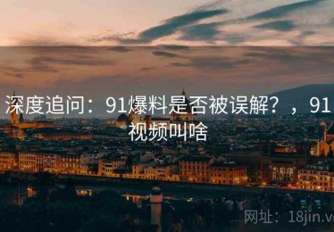 深度追问：91爆料是否被误解？，91视频叫啥