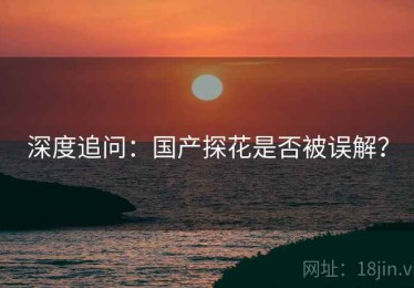 深度追问：国产探花是否被误解？