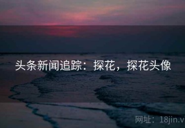 头条新闻追踪：探花，探花头像