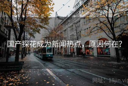 国产探花成为新闻热点，原因何在？