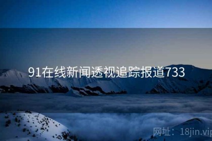 91在线新闻透视追踪报道733