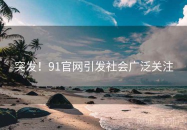 突发！91官网引发社会广泛关注