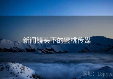 新闻镜头下的蜜桃传媒
