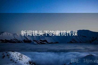 新闻镜头下的蜜桃传媒