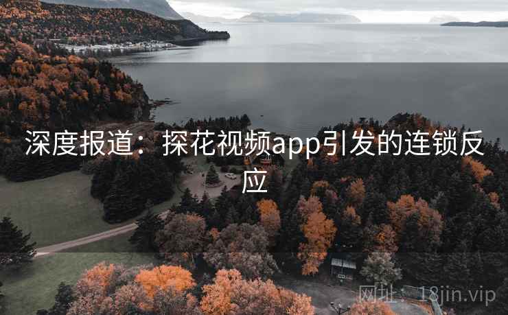 深度报道:探花视频app引发的连锁反应 深度报道:探花视频app引发的连锁反应