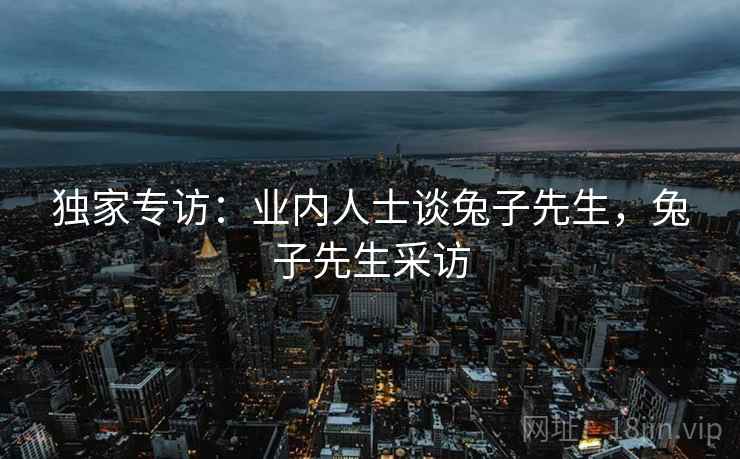 独家专访:业内人士谈兔子先生,兔子先生采访 独家专访:业内人士谈兔子先生,兔子先生采访