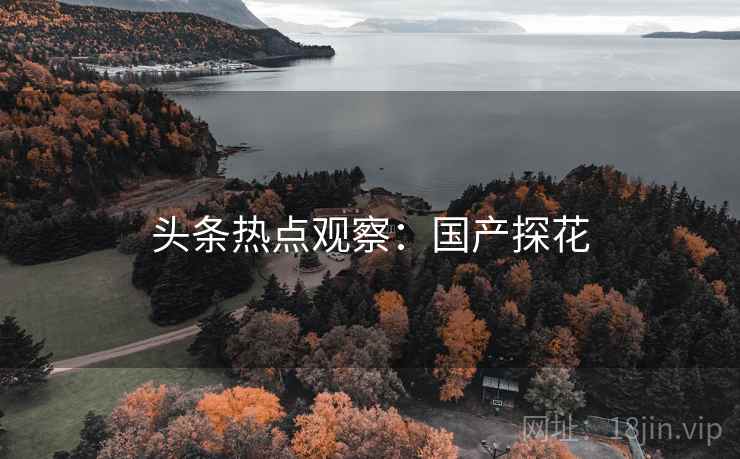 头条热点观察:国产探花 头条热点观察:国产探花